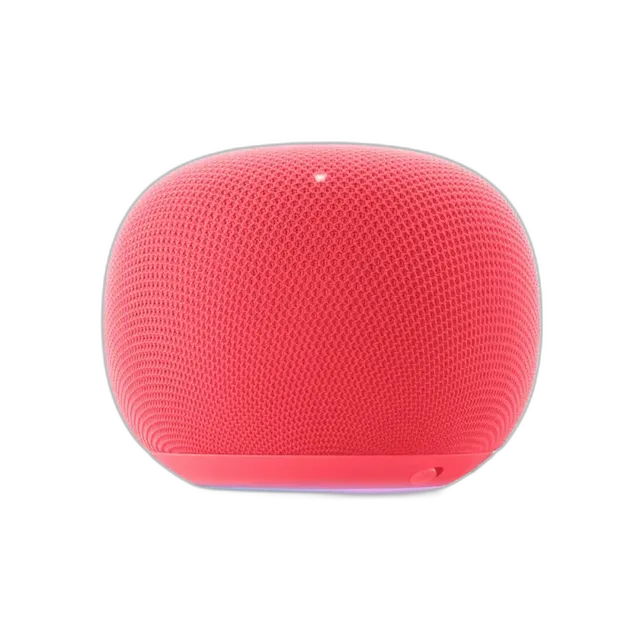 Google Home Smart Speaker