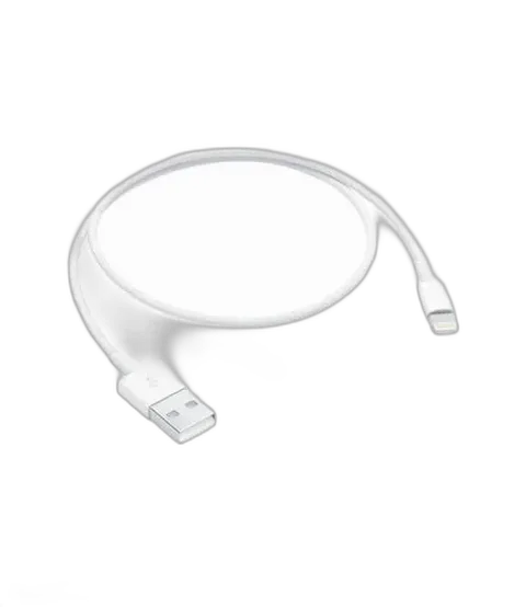 Apple Lightning to USB Cable